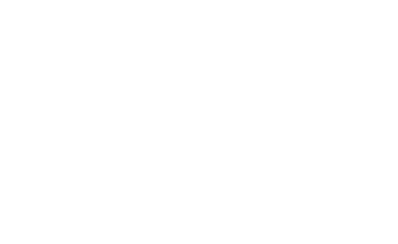 Logo VDI